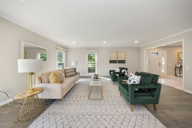 living room with wood-type flooring and ornamental molding