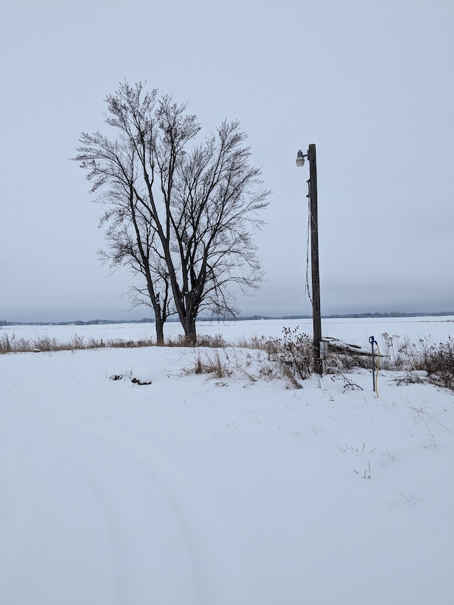 view of yard covered in snow