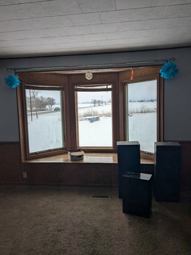 unfurnished dining area featuring carpet flooring and wooden walls