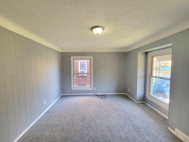 carpeted spare room with wood walls