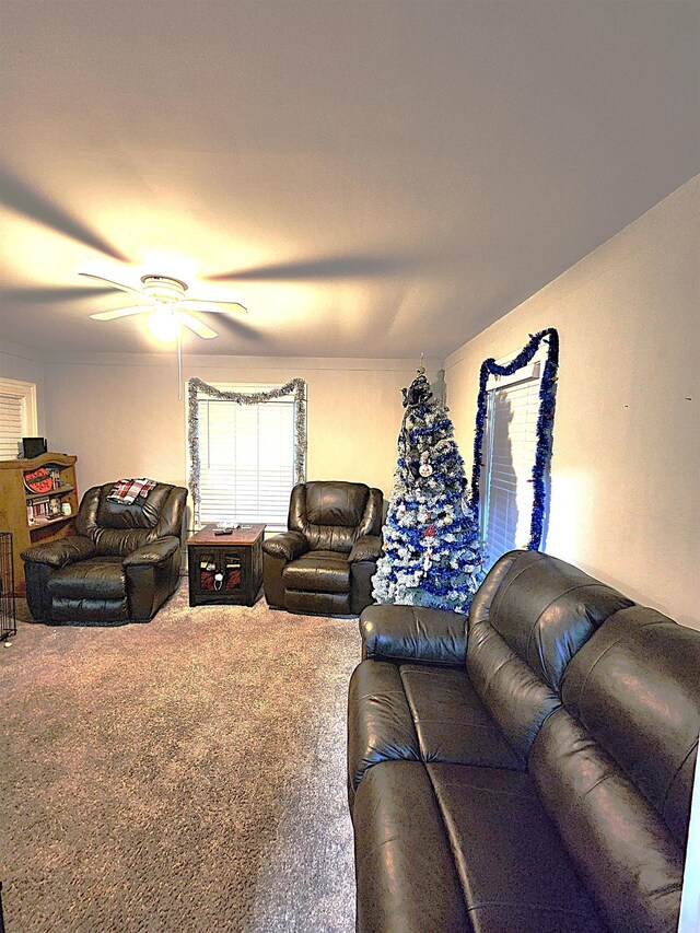 415 N Shelby St, Cadillac, MI 49601