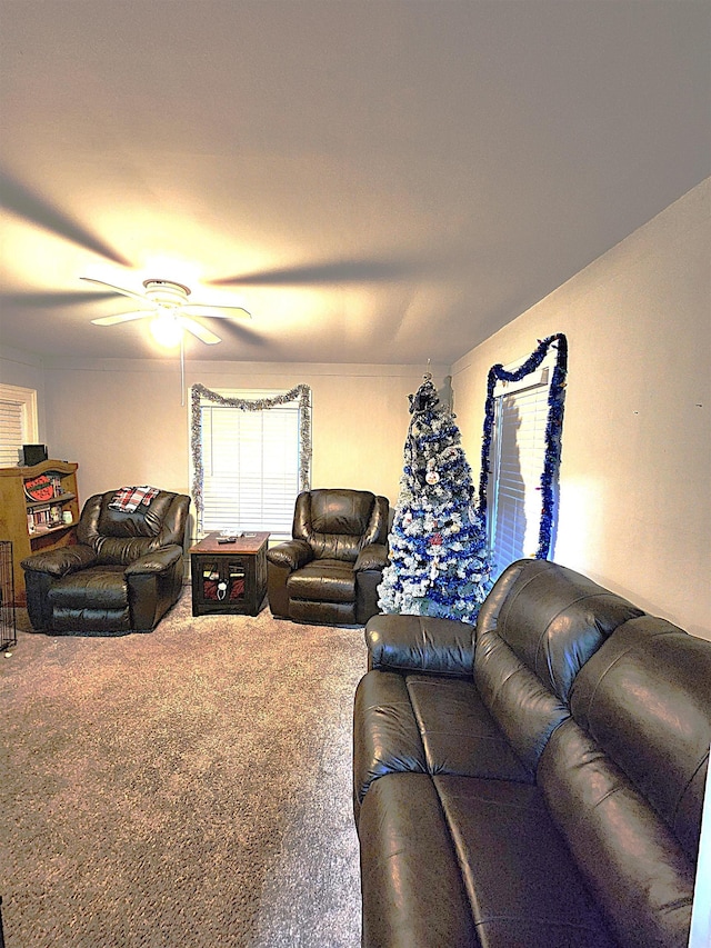 415 N Shelby St, Cadillac, MI 49601 - photo 10