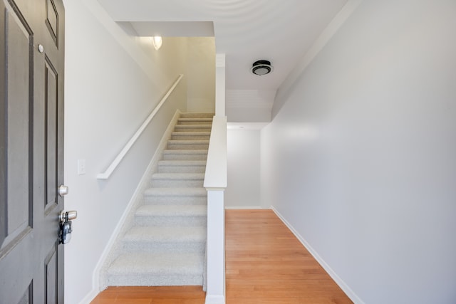 stairway with wood-type flooring