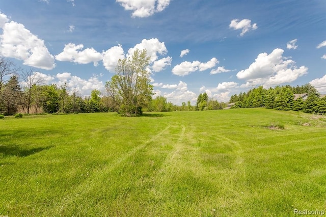 view of yard featuring a rural view