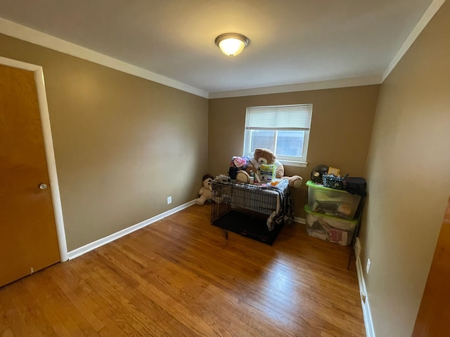 interior space featuring wood-type flooring and ornamental molding