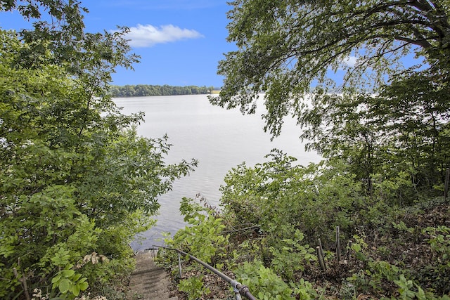 1161 Oak Grove Park, Union City, MI 49094 - photo 20