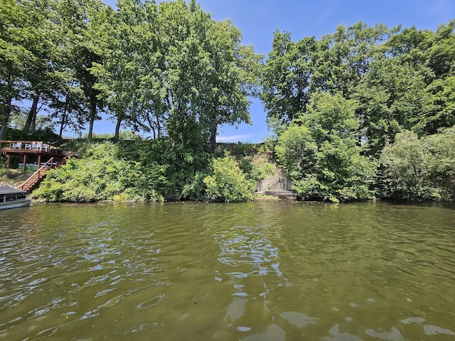 1161 Oak Grove Park, Union City, MI 49094 - photo 23