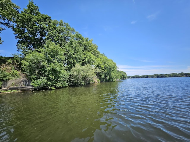 1161 Oak Grove Park, Union City, MI 49094 - photo 24