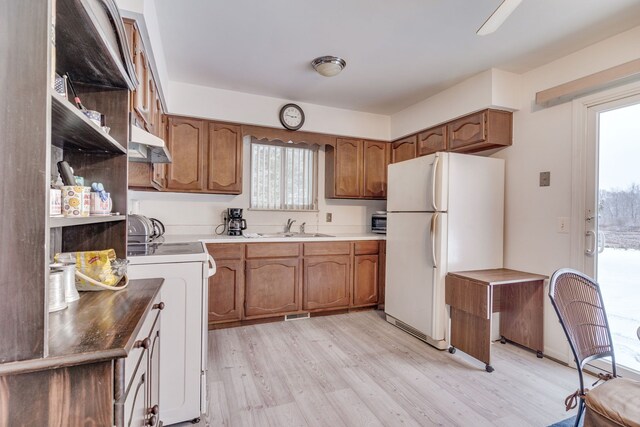 kitchen with sink, white fridge, light hardwood / wood-style floors, and range