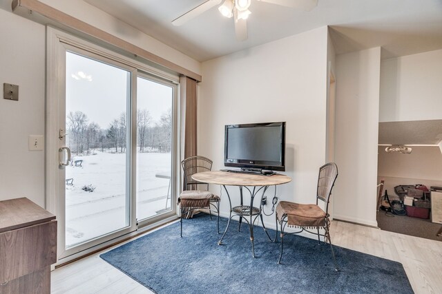 home office with ceiling fan and light hardwood / wood-style flooring