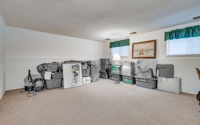 miscellaneous room with carpet flooring, a healthy amount of sunlight, and a textured ceiling