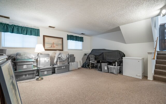 12070 Rattalee Lake Rd, Davisburg, MI 48350 - recreation room with carpet flooring and a textured ceiling