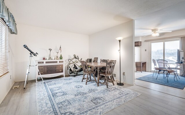 dining area with ceiling fan, a textured ceiling, and hardwood / wood-style flooring