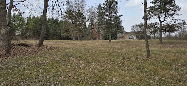 12070 Rattalee Lake Rd, Davisburg, MI 48350 - view of green lawn