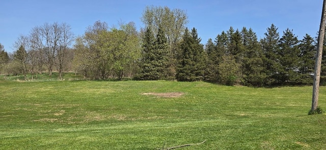 12070 Rattalee Lake Rd, Davisburg, MI 48350 - view of grassy yard