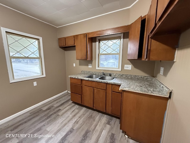 kitchen with a wealth of natural light, sink, and light wood-type flooring