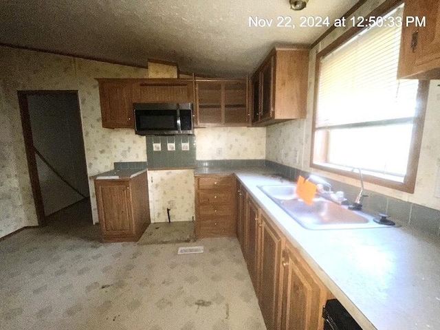 kitchen featuring a wealth of natural light and sink