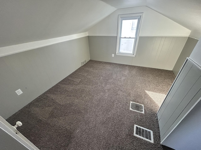 additional living space with carpet and lofted ceiling