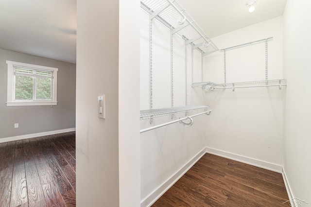 spacious closet with hardwood / wood-style floors