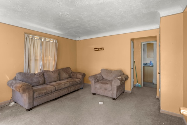 carpeted living room with a textured ceiling