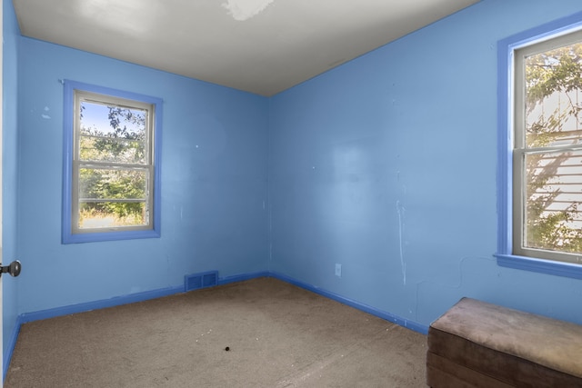 carpeted spare room featuring plenty of natural light