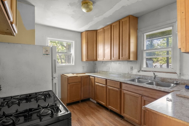 kitchen featuring gas stove, light hardwood / wood-style floors, white fridge, and sink