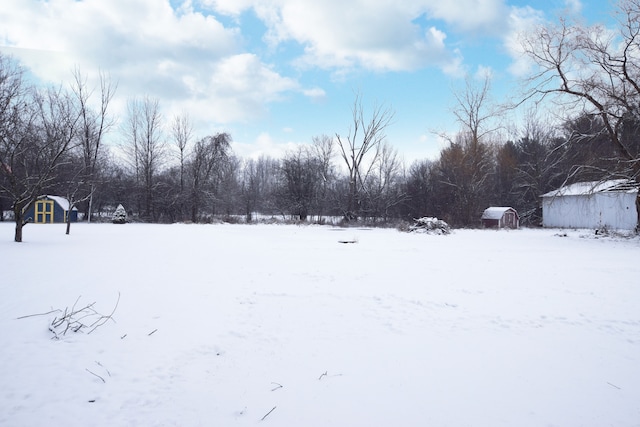 view of snowy yard