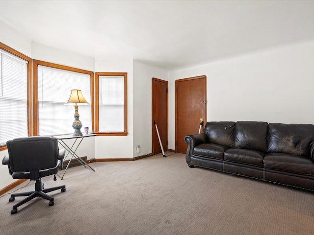 interior space with carpet flooring