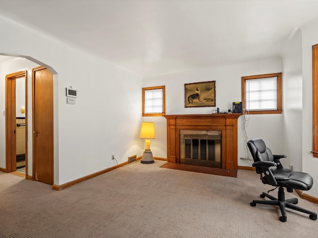 living room with plenty of natural light and carpet floors