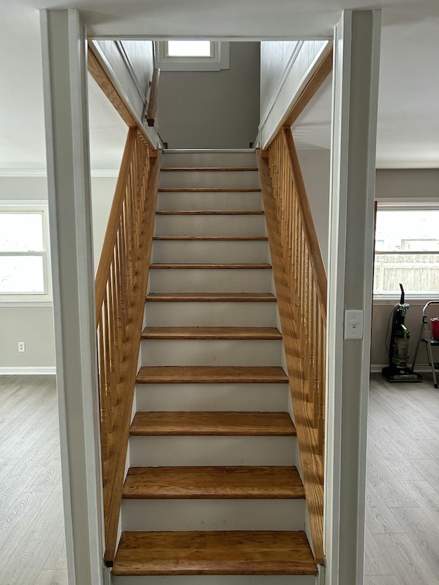 staircase featuring wood-type flooring