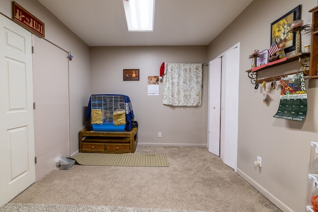 miscellaneous room featuring light carpet