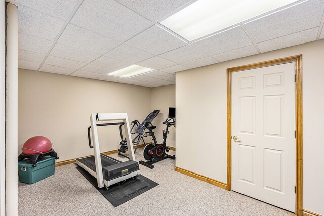 workout area with carpet floors and a drop ceiling