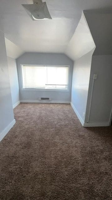 additional living space with carpet flooring, plenty of natural light, and lofted ceiling