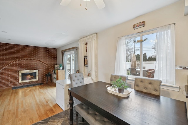 dining room featuring a wealth of natural light, a fireplace, ceiling fan, and light wood-type flooring