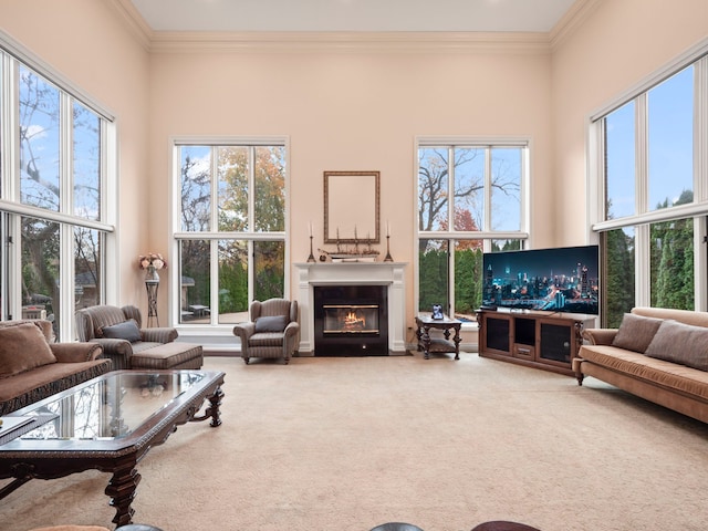 carpeted living room featuring a wealth of natural light, a high ceiling, and ornamental molding