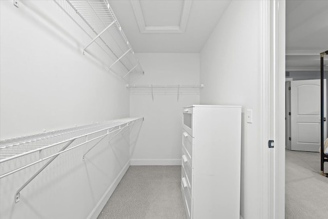 spacious closet with light carpet