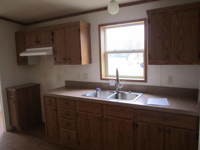 kitchen featuring crown molding and sink