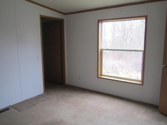 spare room with light carpet, crown molding, and lofted ceiling