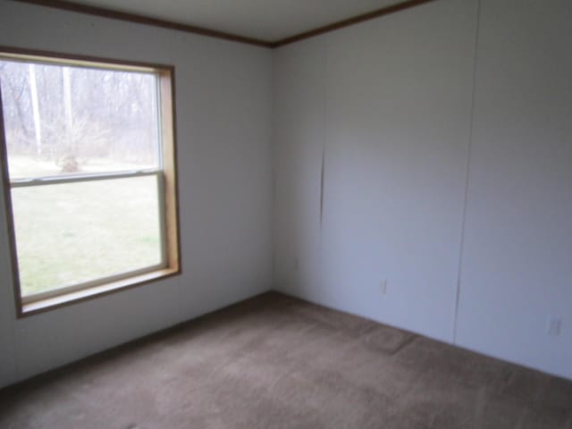 empty room featuring crown molding, plenty of natural light, and carpet