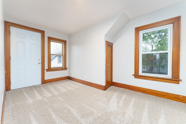 additional living space featuring light carpet and a wealth of natural light