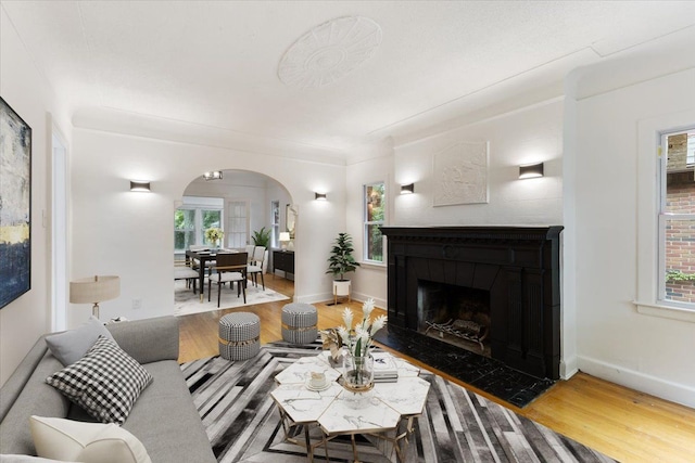 living room with hardwood / wood-style floors and a wealth of natural light