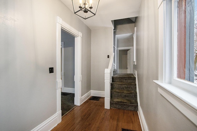 hallway with dark hardwood / wood-style flooring and an inviting chandelier