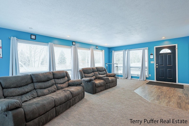 206 W Michigan Ave, Fremont, MI 49412 - photo 20