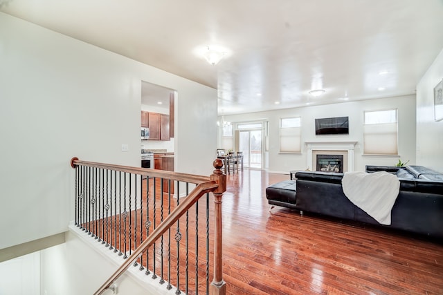 living room featuring a chandelier, hardwood / wood-style flooring, and plenty of natural light