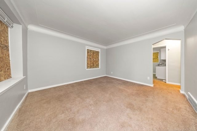 empty room featuring light colored carpet and ornamental molding