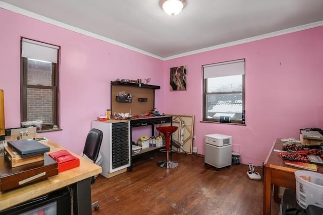 office featuring dark hardwood / wood-style floors and ornamental molding