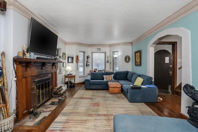 living room with a textured ceiling, light hardwood / wood-style flooring, and ornamental molding