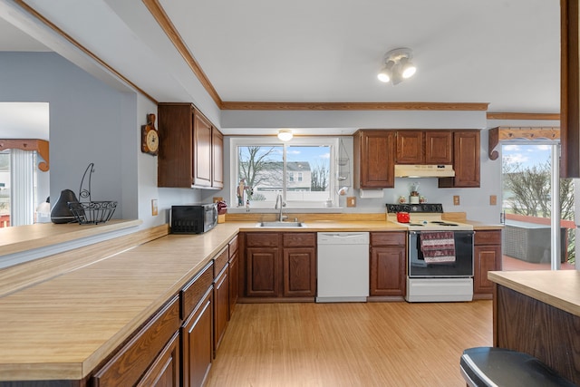 kitchen with white appliances, light hardwood / wood-style floors, a healthy amount of sunlight, and sink