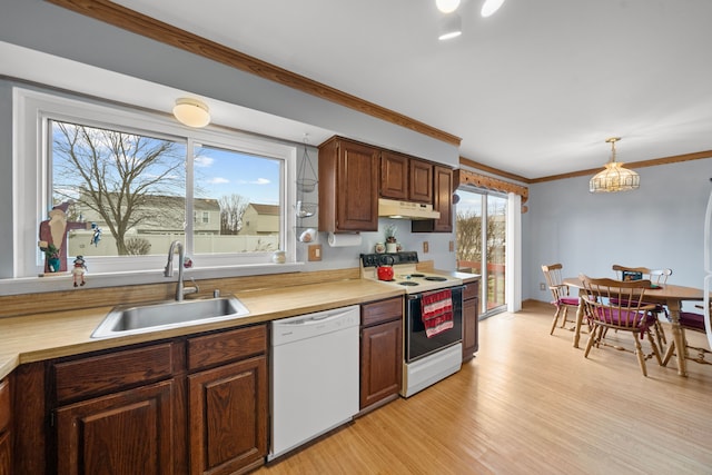 kitchen with plenty of natural light, white appliances, sink, and hanging light fixtures