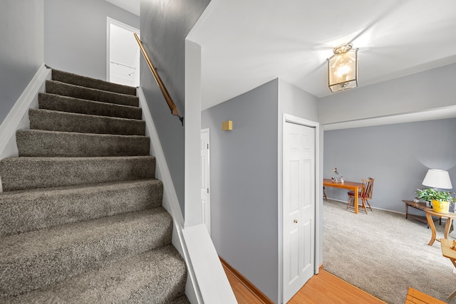 stairway featuring carpet